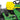 John Deere Rasentraktor X147R - Modell 2025